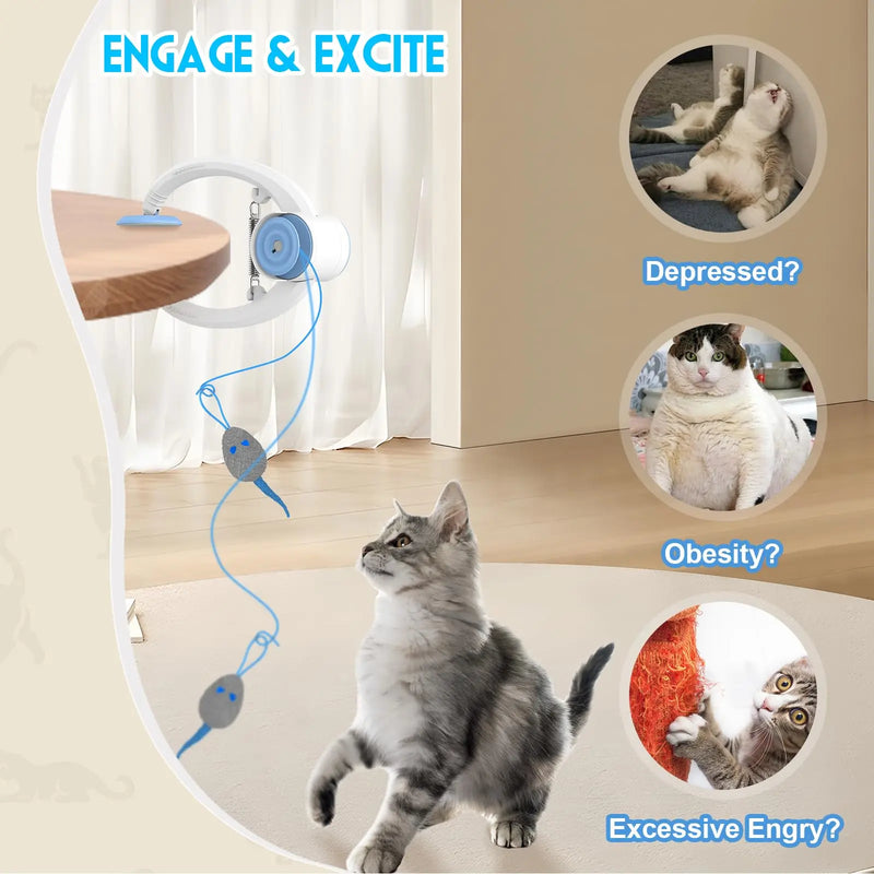 Auto-Rebound Tür-Spielzeug für Katzen mit austauschbaren Mäusen