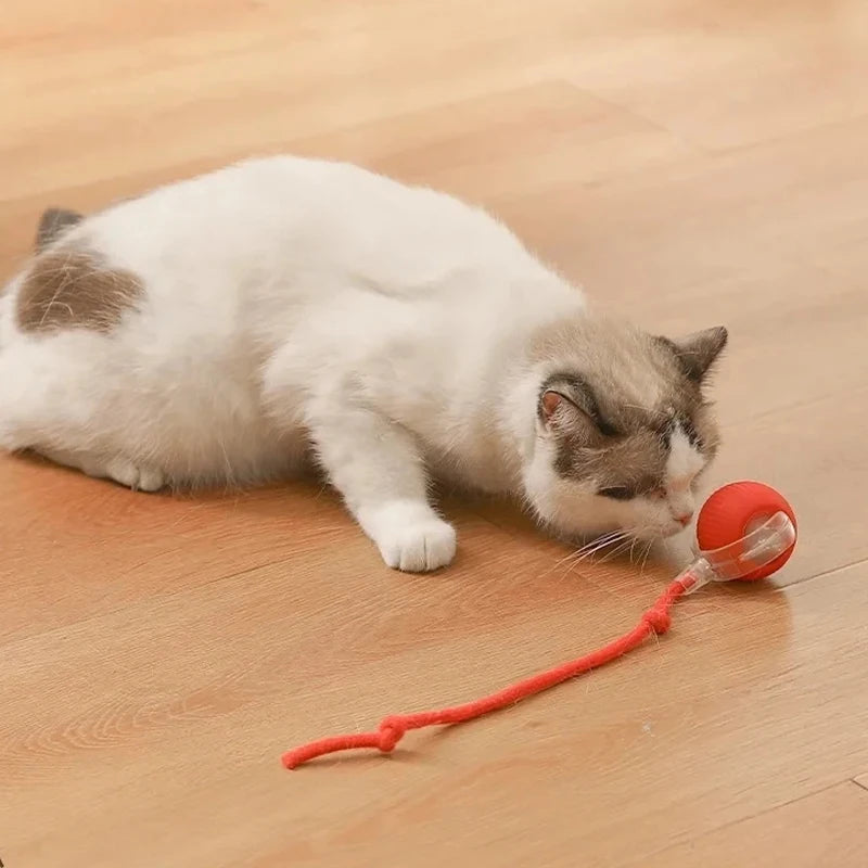 Interactive Rolling Cat Toy with Motion Sensor and Rechargeable Battery