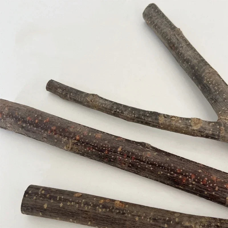 حامل خشبي لقفص الببغاء بمكبس شفط