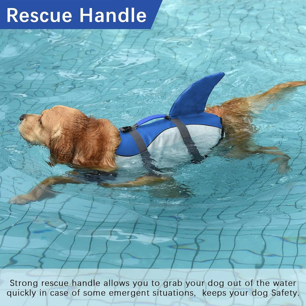 A golden retriever is wearing a blue rescue handle life jacket while swimming in water.