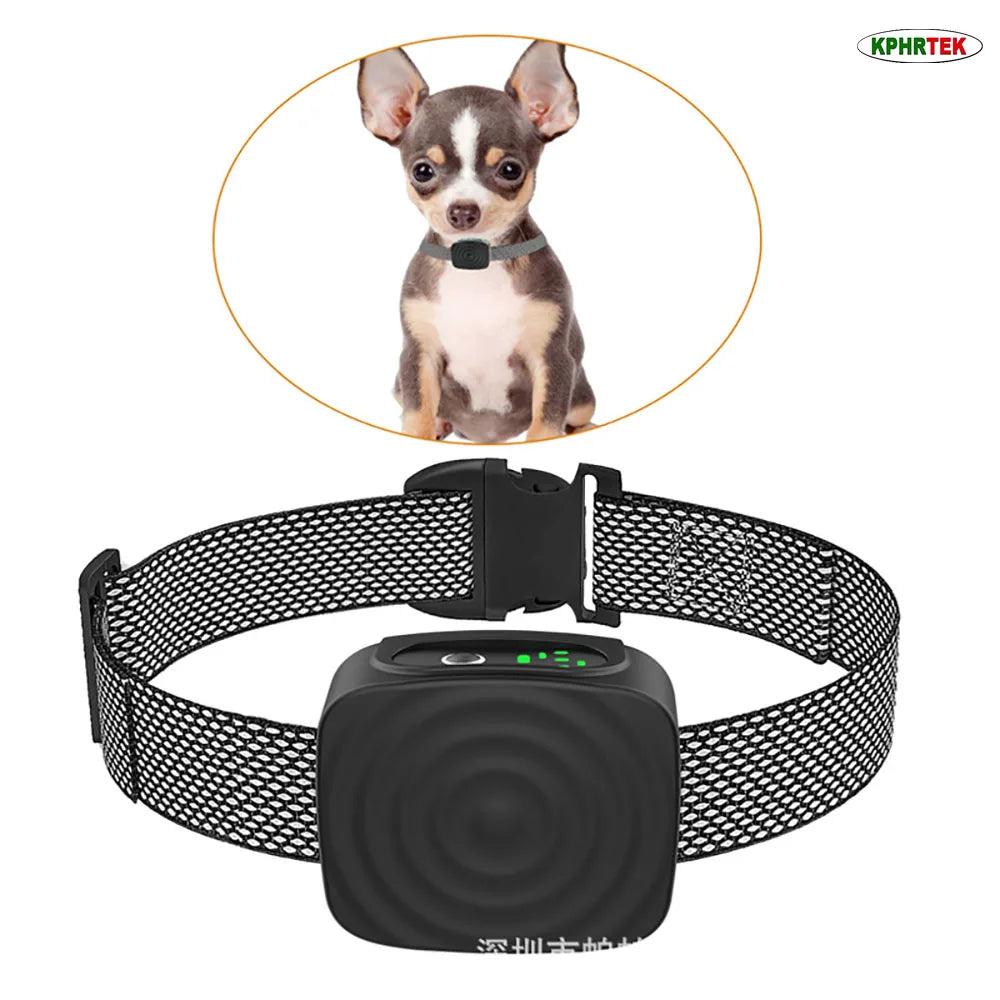 A small dog wearing a black collar is shown next to the collar itself, which is a black electronic device.