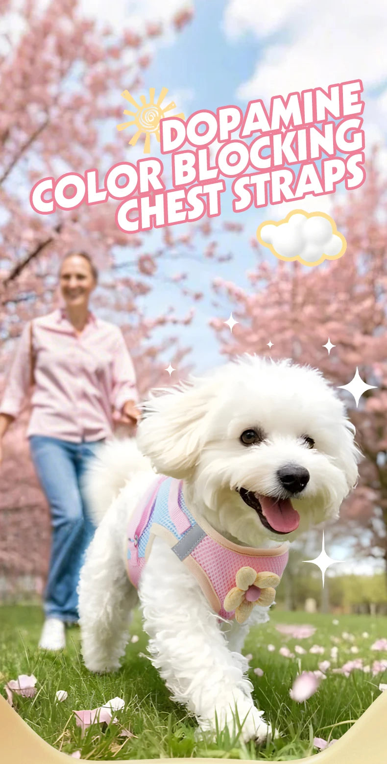 A white dog wearing a pink harness with reflective stripes in a park setting.