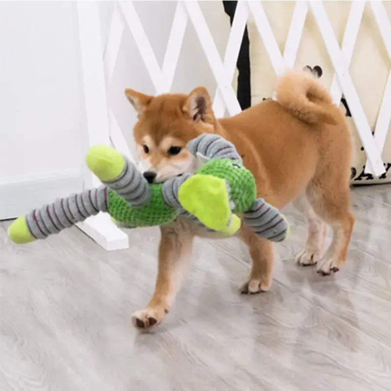 Ein kleiner orange Hund spielt mit einem grünen und grauen Plüschspielzeug
