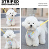Striped Color-Block Dog Harness with Matching Leash