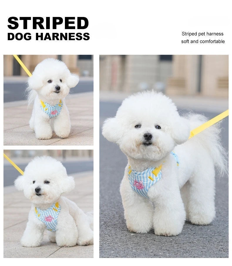 Striped Color-Block Dog Harness with Matching Leash