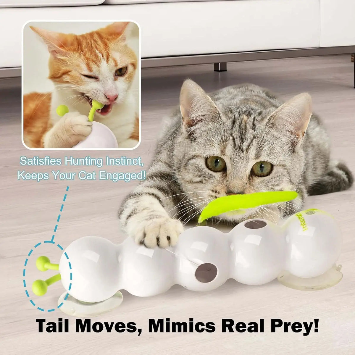 Un chat gris interagit avec un jouet blanc qui bouge comme une proie pour satisfaire son instinct de chasse.