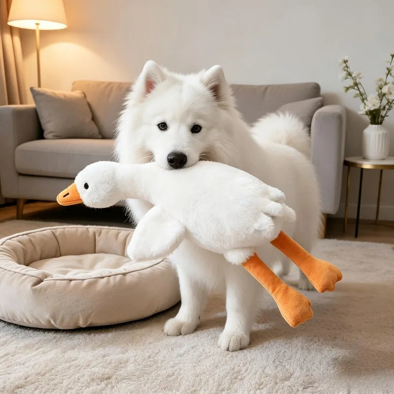A white fluffy dog holds a soft, orange plush duck toy.