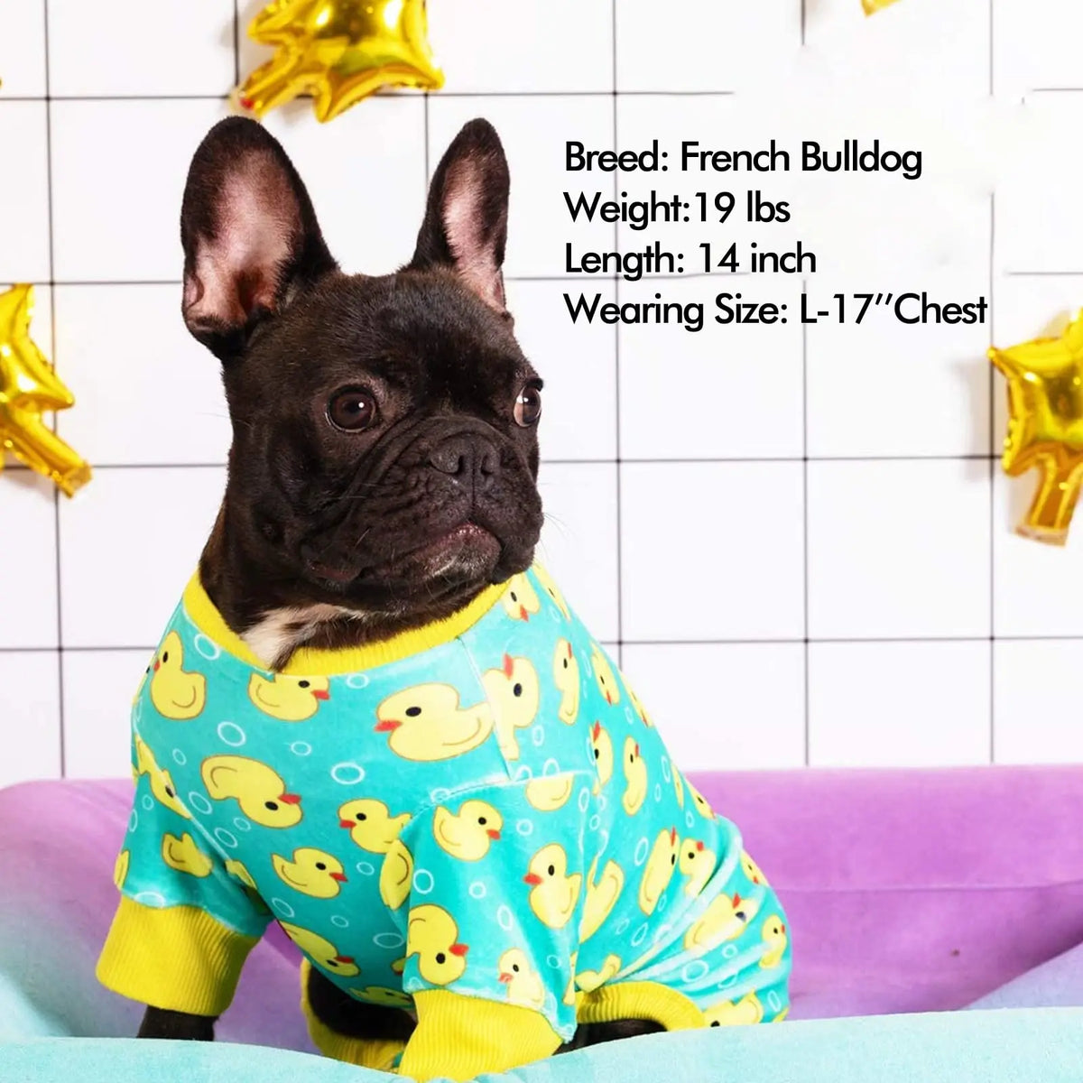 A French Bulldog wearing a yellow and blue patterned duck pajamas.