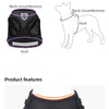Reflektierendes Mesh-Hundegeschirr mit Leine