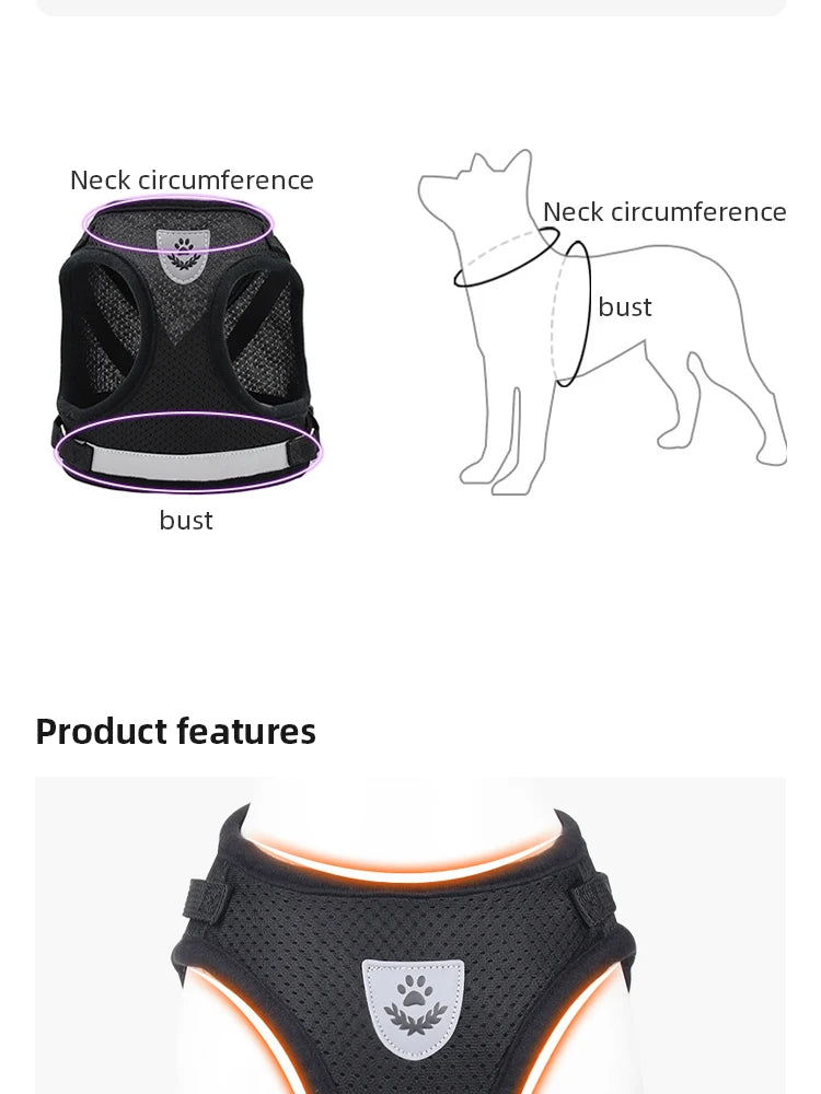 Reflektierendes Mesh-Hundegeschirr mit Leine