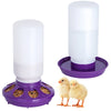 1L Chicken Feeder Bucket Waterer Automatic Drinker