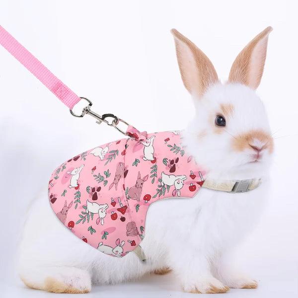 A white rabbit wearing a pink printed harness vest with a silver collar and attached to a pink leash.