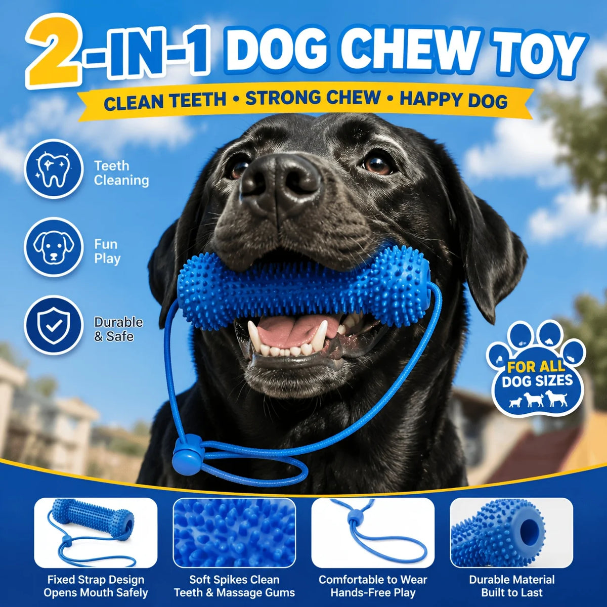A black dog happily chewing a blue dental cleaning toy rope for teeth cleaning and fun play.