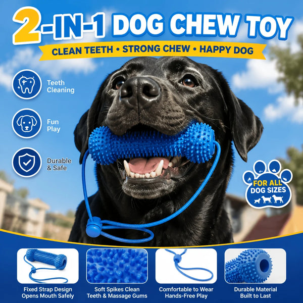 A black dog happily chewing a blue dental cleaning toy rope for teeth cleaning and fun play.