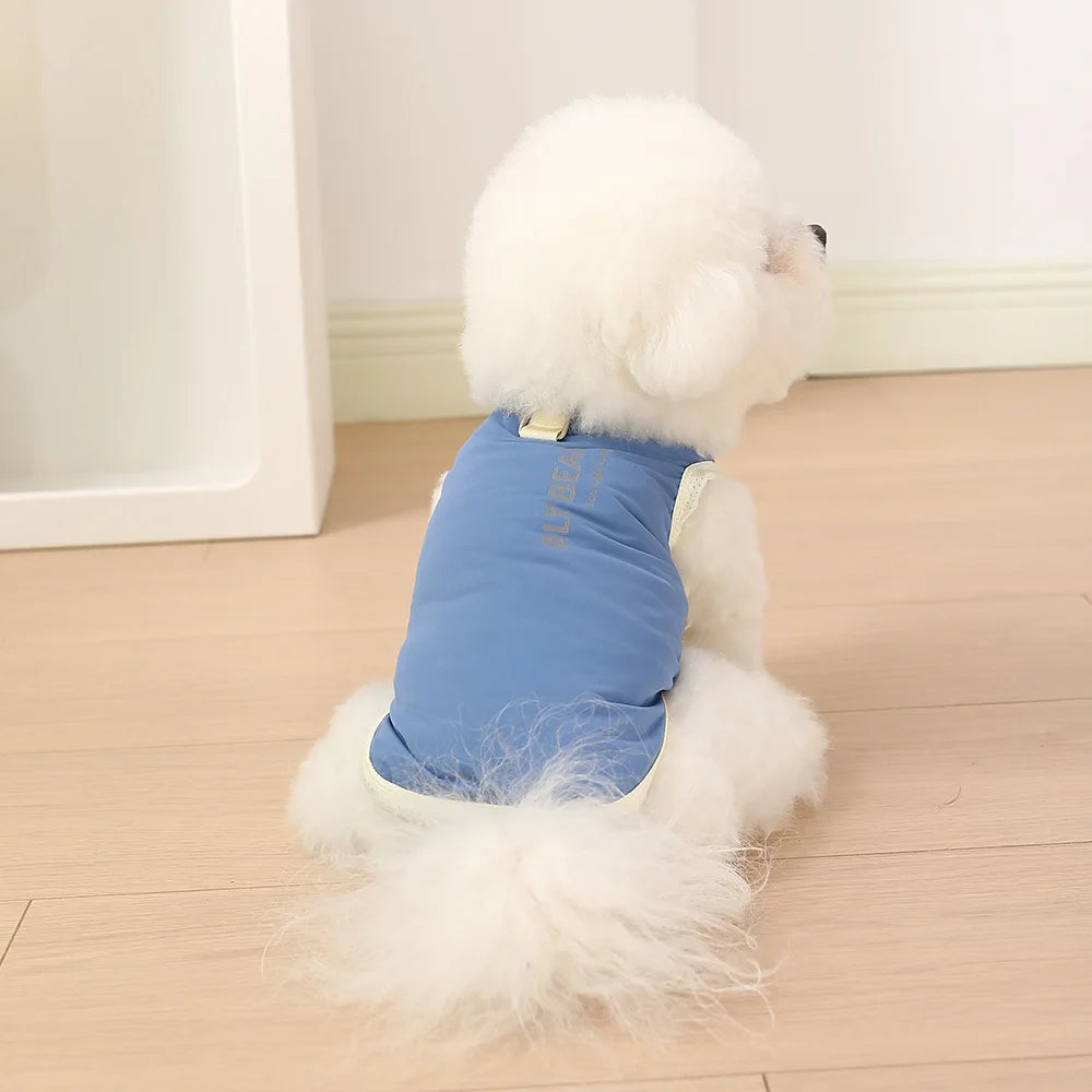 A fluffy white dog wearing a light blue cooling vest for summer with UV protection.