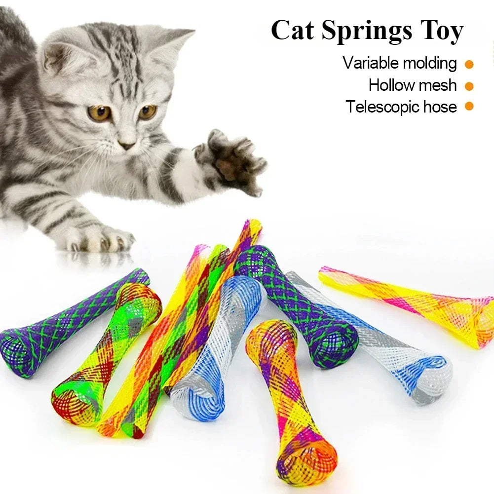 A tabby kitten plays with a set of colorful, flexible cat springs toys.