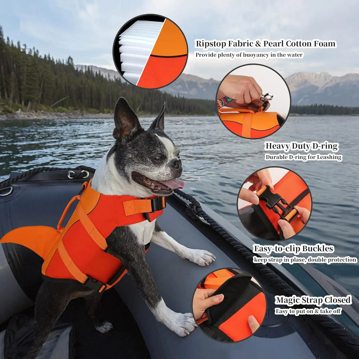 An orange dog life jacket with D-rings is shown on a dog, demonstrating buoyancy and durability for swimming.