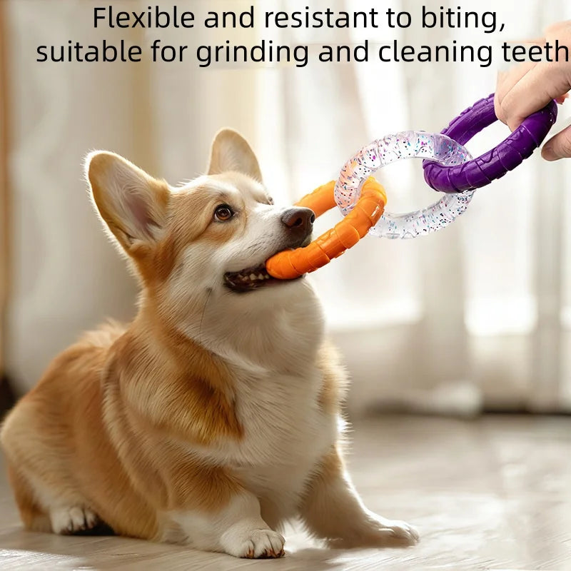 A dog is holding an orange TPR pull ring toy for dental health and interactive play.