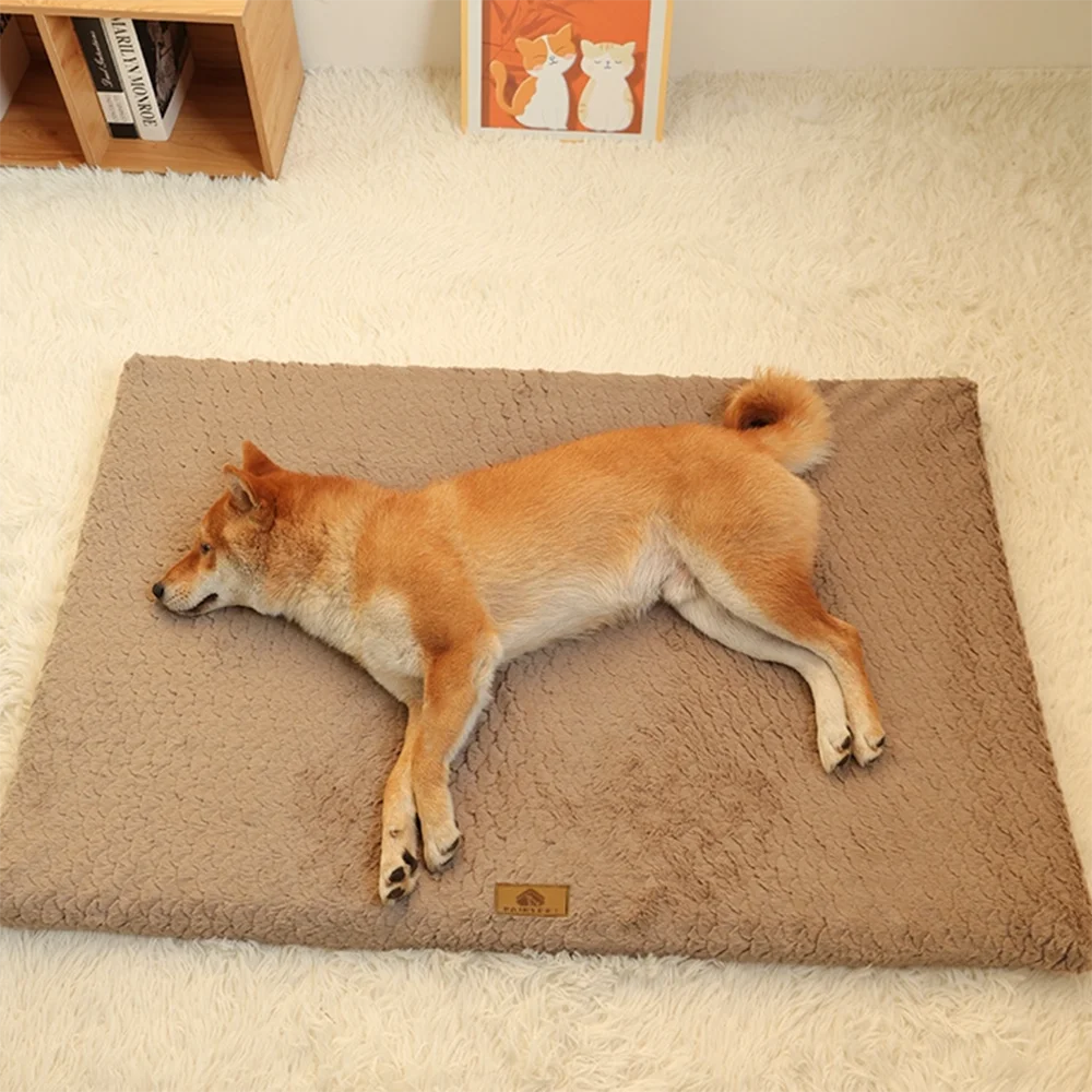 Un chien de couleur dorée allongé sur un lit orthopédique en mousse beige avec une housse en fausse fourrure.