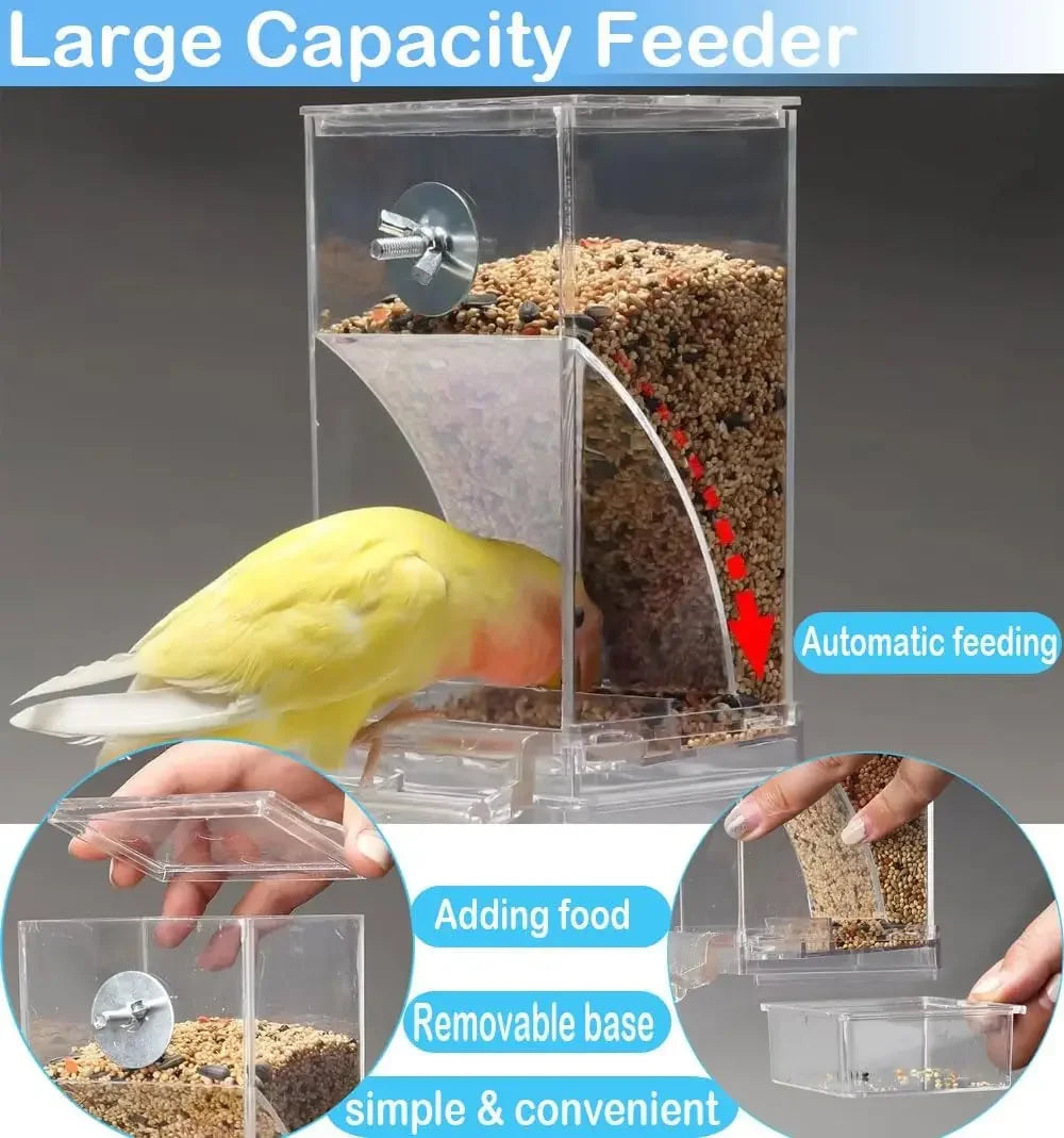 A clear automatic bird feeder with a perch is shown, demonstrating adding food and a removable base for convenient feeding.