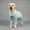 Pet Cooling Full-Body Suit for Summer Heat Relief