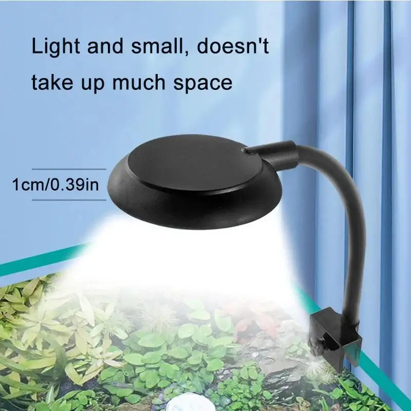 A black clip-on LED light illuminates aquatic plants in a tank.