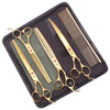 A black case holding professional stainless steel pet grooming scissors and a comb.