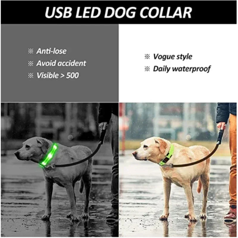 Wiederaufladbare LED-Hundehalsband für Nachtsicherheit
