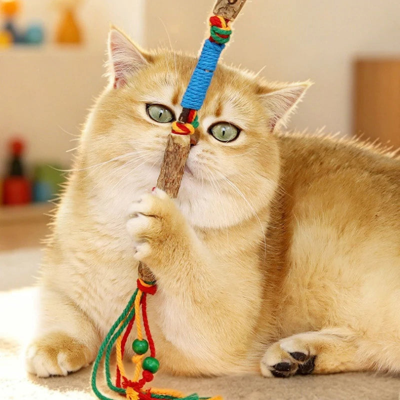 Robbes Knotenseil-Spielzeug für Hunde & Katzen