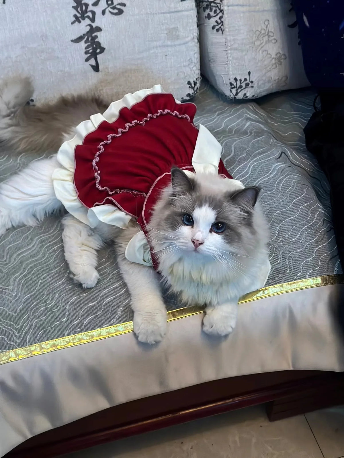 Elegant Cotton Pet Dress with Bow for Small Dogs and Cats