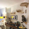 Wall-Mounted Cat Climbing Shelf Set with Hammock and Scratching Posts