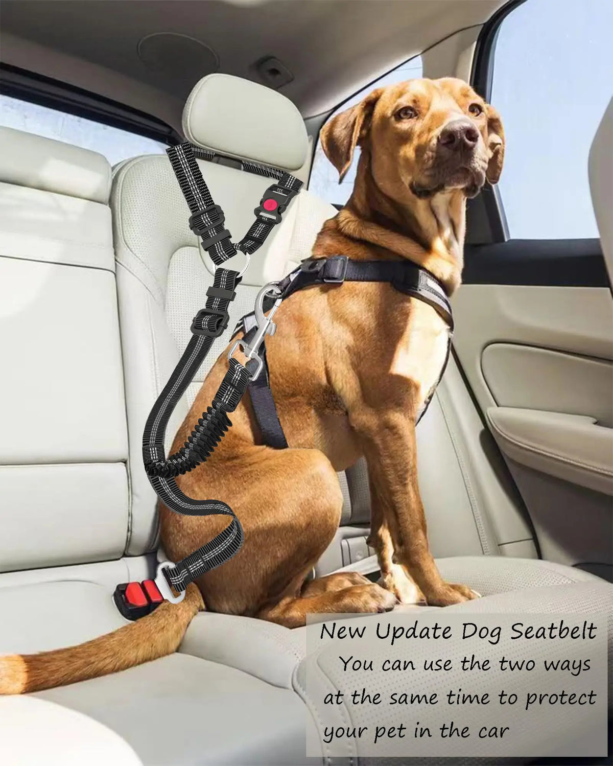 A golden dog wearing an adjustable nylon dog seat belt inside a car seat.
