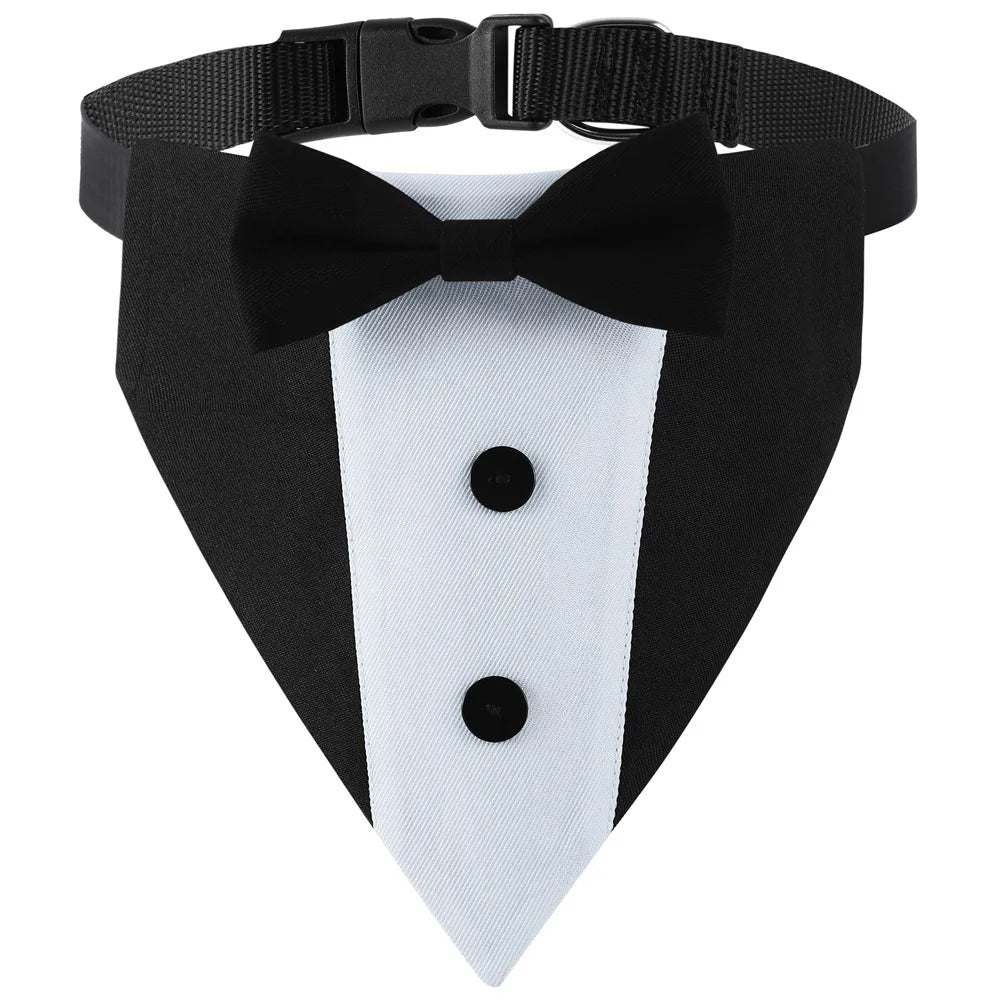 Black and white elegant pet wedding collar with a black bow tie bandana