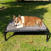Portable Elevated Dog Bed with Canopy and Storage Bag
