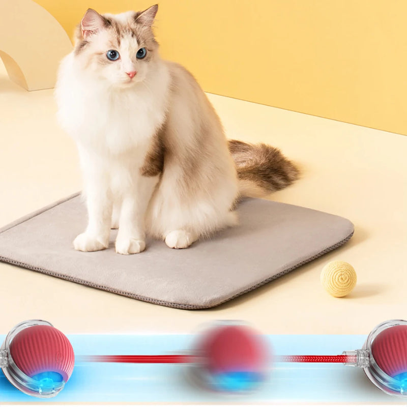 Automatic Rolling Cat Toy with Wiggling Tail