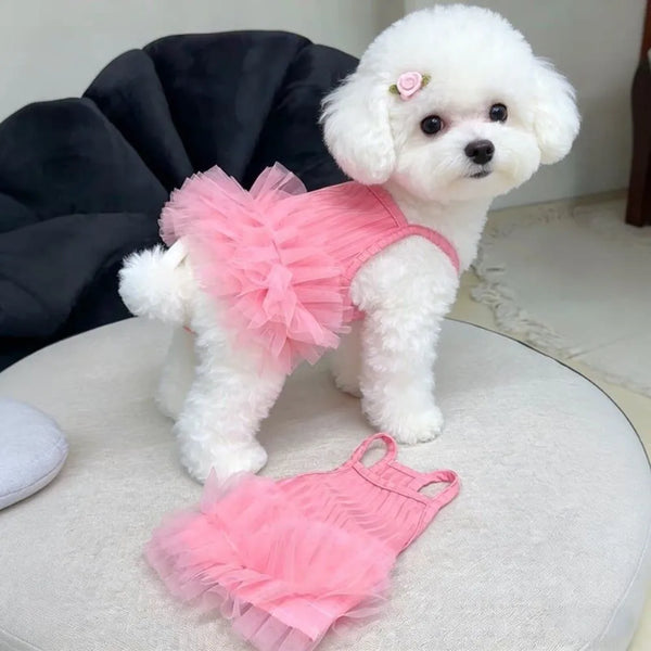 Ein weißer Pudel in einem rosa Rüschenkleid für Hunde und Katzen.
