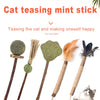 Natural Silvervine Cat Chew Sticks for Dental Care & Play