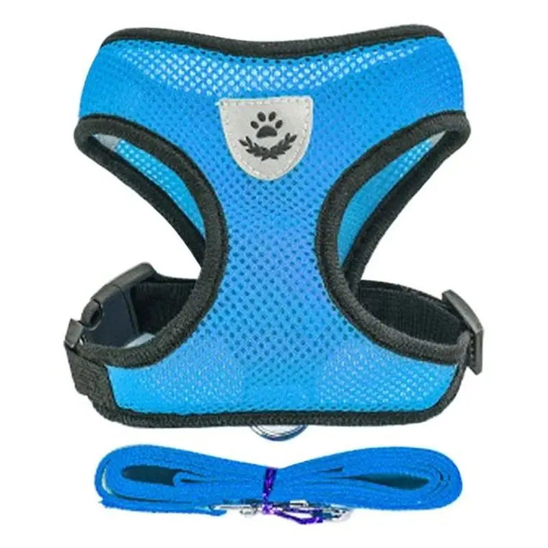 A bright blue pet harness and matching leash set with black trim.