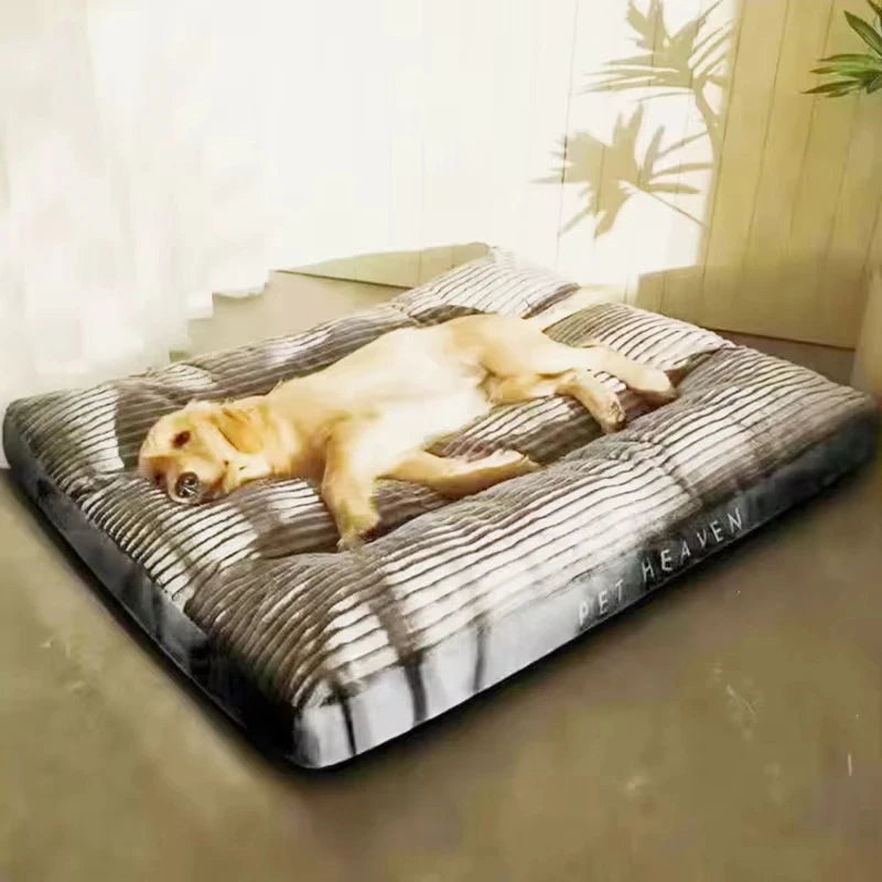 Ein helles Hund liegt auf einem dunkelgrauen Samt-Hundbett mit abnehmbarem Überzug.