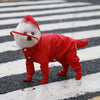 All-in-One Waterproof Dog Raincoat with Full Leg Coverage