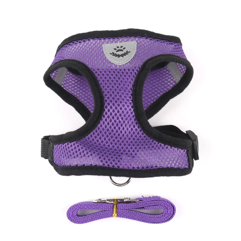 Purple pet harness and leash set with a silver emblem