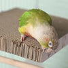 Un petit perroquet vert et jaune est perché sur une boîte en carton.