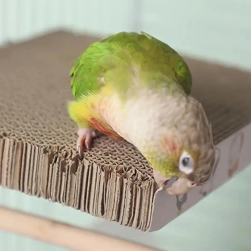 Un petit perroquet vert et jaune est perché sur une boîte en carton.