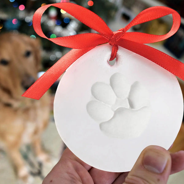 A hand holds a white silicone paw print impression kit with an orange ribbon, set against a blurred background of a dog.
