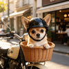 Ein kleiner, flauschiger Hund trägt einen schwarzen Hundeschutzhelm auf einem Vintage-Motorrad.