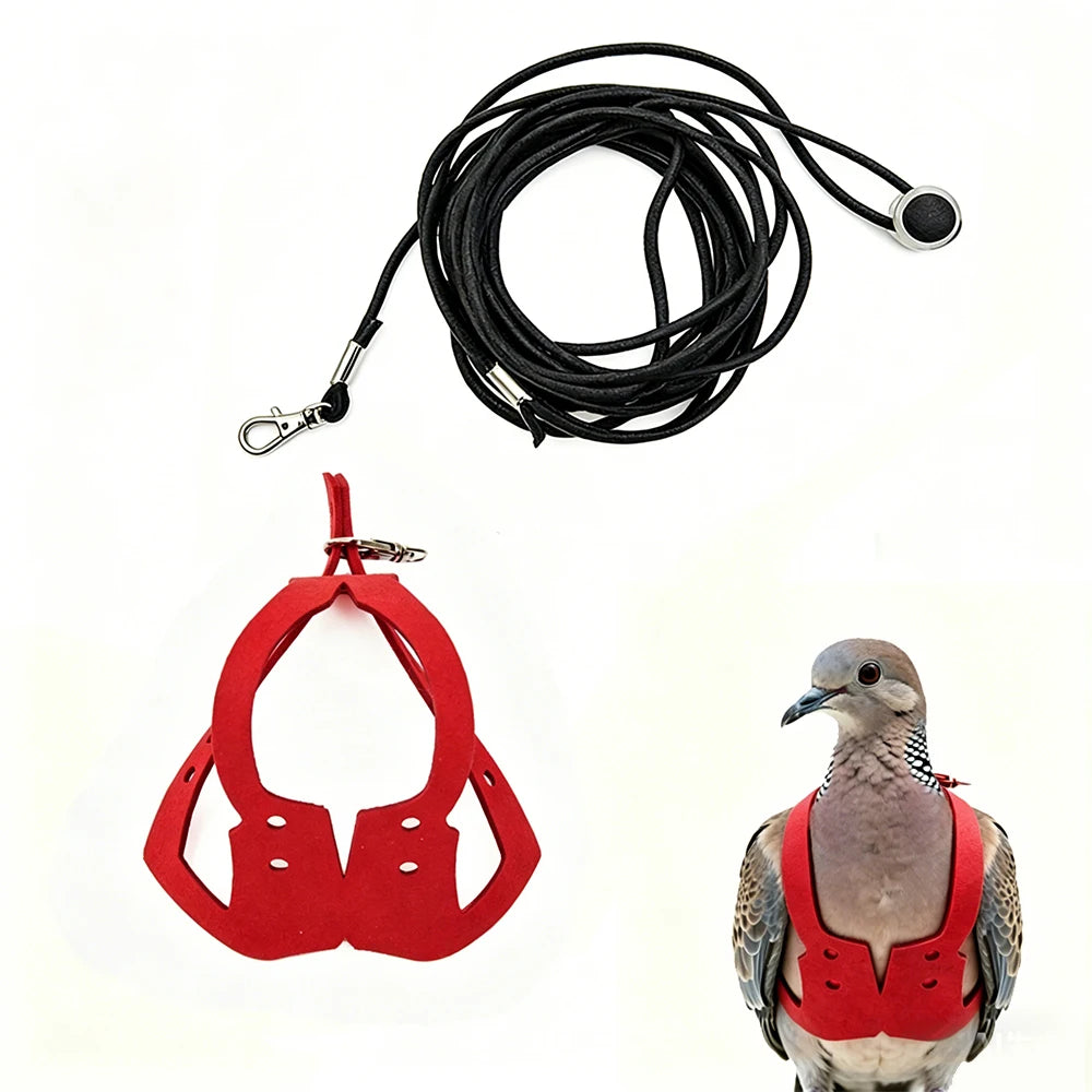 A red adjustable parrot harness and black elastic leash set with a bird visible.