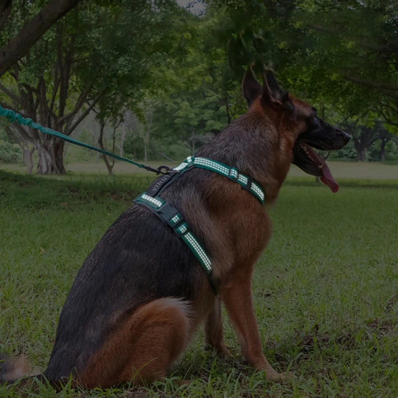 A brown German Shepherd wearing a green reflective dog harness lying on green grass.