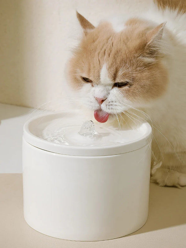 A fluffy ginger and white cat is drinking water from a white ceramic bowl dispenser.
