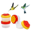 Flower-Shaped Hummingbird Feeder for Garden and Yard
