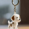 Porte-clés Souvenir pour Poils d'Animal